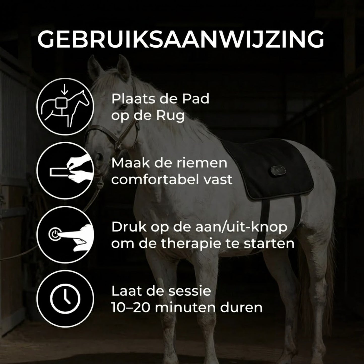 BackGlow - Ontspannen rug en soepelere bewegingen voor je paard