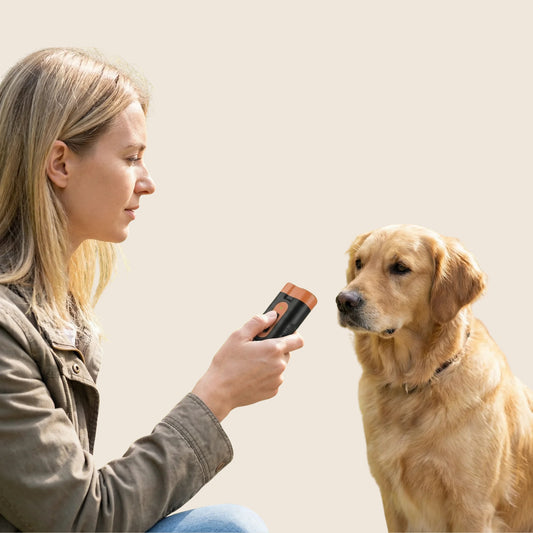 BarkGuard op beige achtergrond