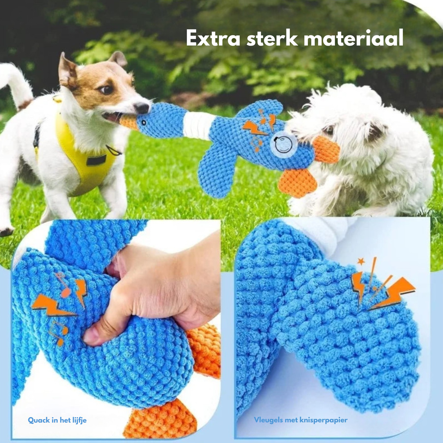 BuddyBite – De knuffel die angst en stress wegneemt