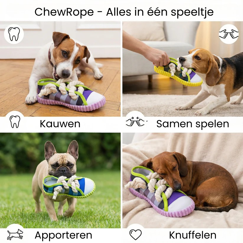 ChewRope slofspeeltje met pieper