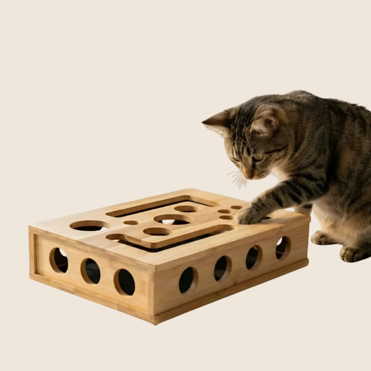 ClawPlay op beige achtergrond
