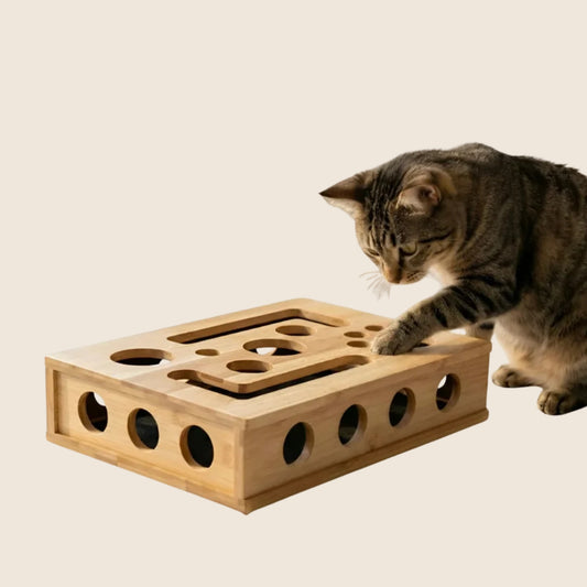 ClawPlay op beige achtergrond