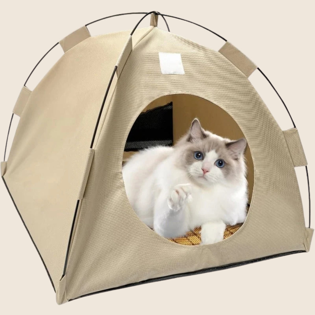 CozyDen op beige achtergrond