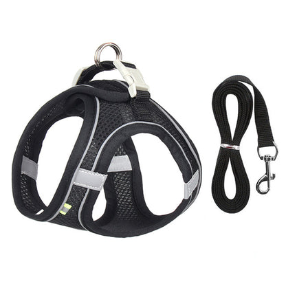 TrailPup - Anti-trek Puppytuigje dat de Nek Ontlast