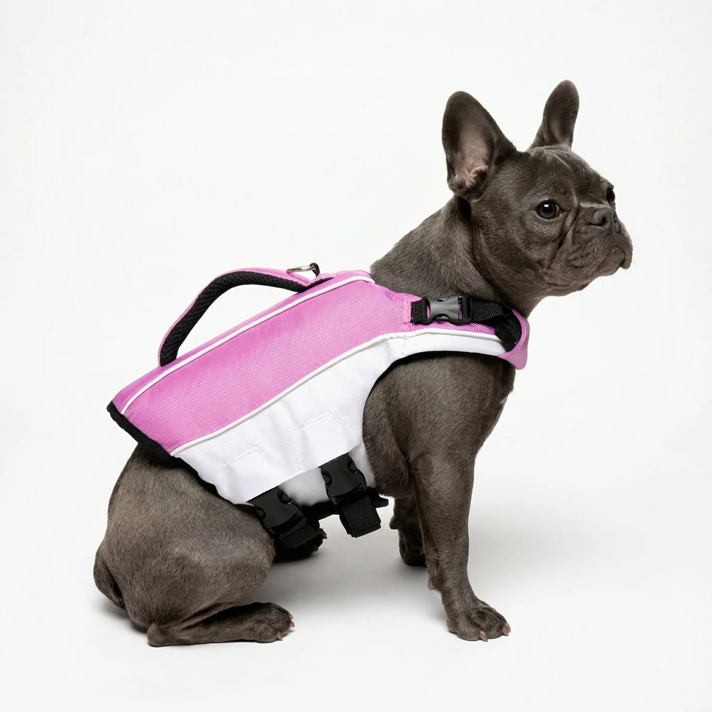 SwimGuard – Zwemvest Hond voor Veilig en Zorgeloos Zwemplezier