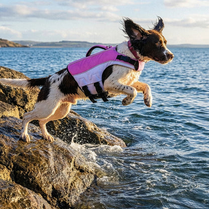SwimGuard – Zwemvest Hond voor Veilig en Zorgeloos Zwemplezier
