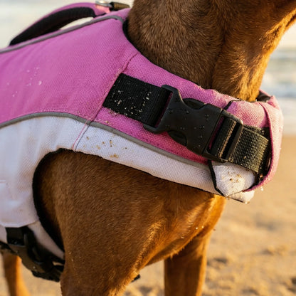 SwimGuard – Zwemvest Hond voor Veilig en Zorgeloos Zwemplezier