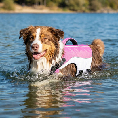 SwimGuard – Zwemvest Hond voor Veilig en Zorgeloos Zwemplezier