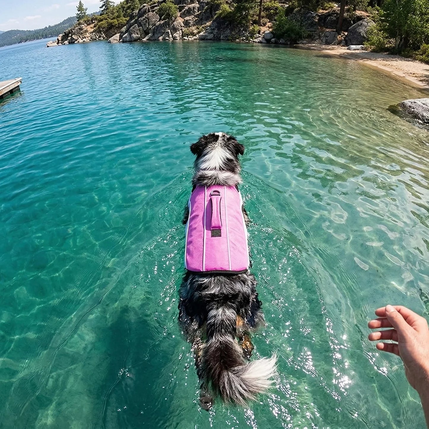 SwimGuard – Zwemvest Hond voor Veilig en Zorgeloos Zwemplezier