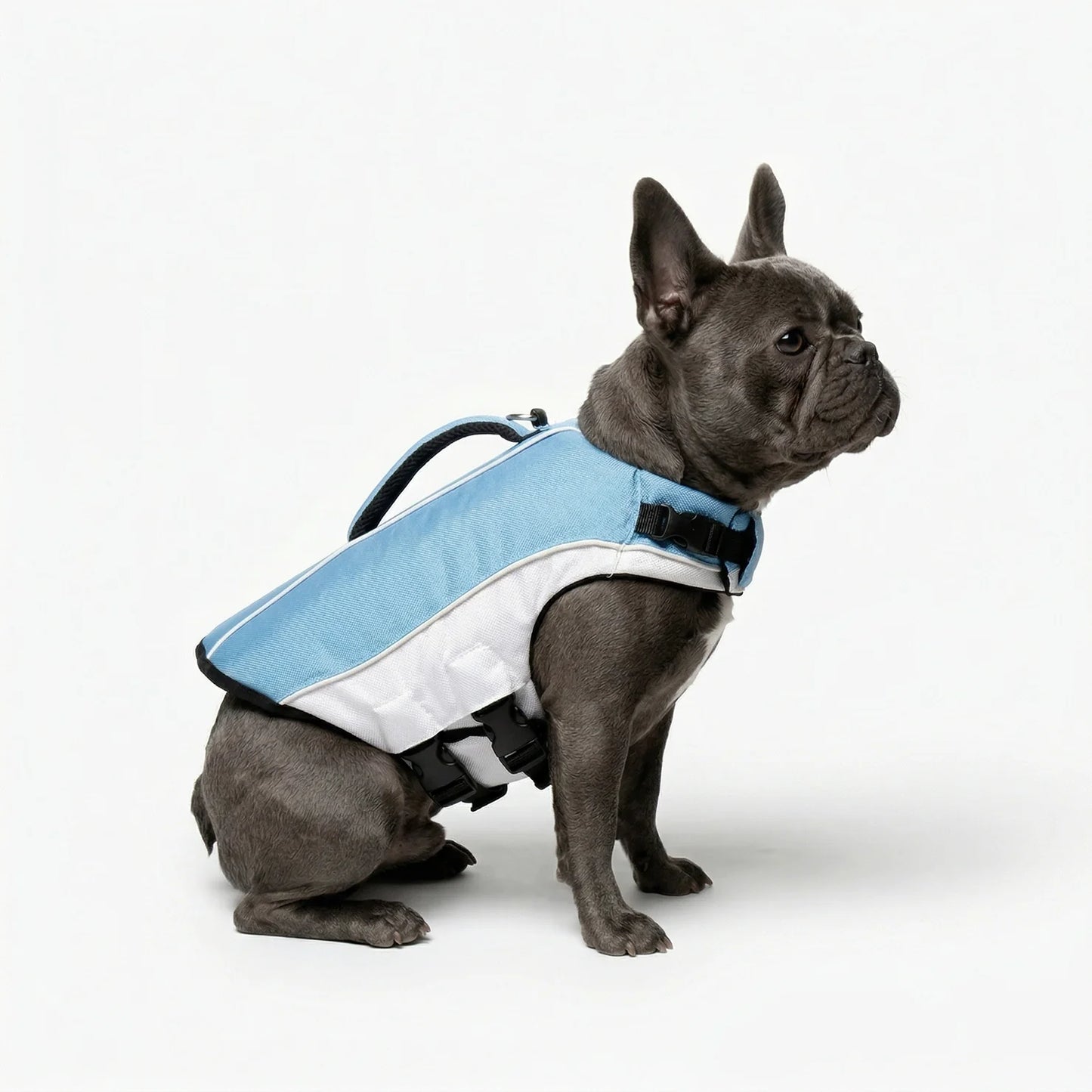 SwimGuard – Zwemvest Hond voor Veilig en Zorgeloos Zwemplezier