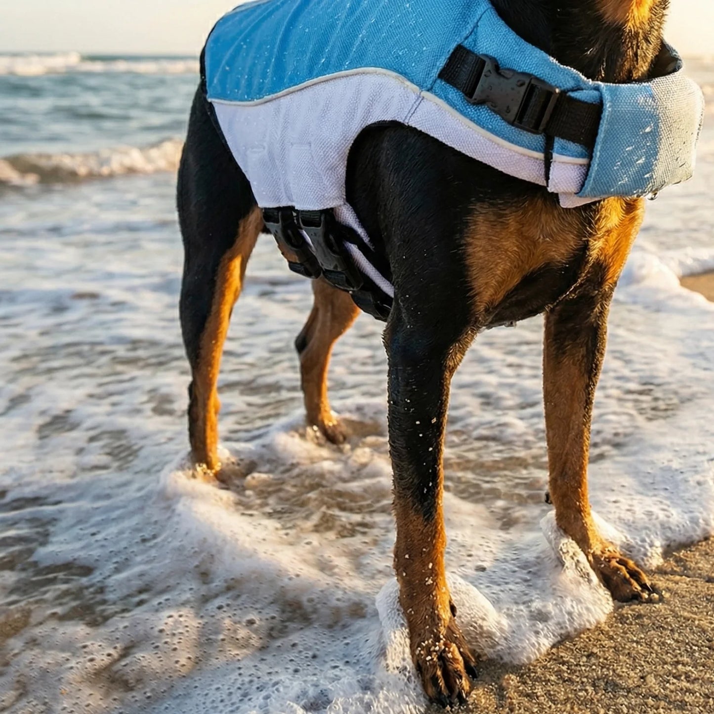 SwimGuard – Zwemvest Hond voor Veilig en Zorgeloos Zwemplezier