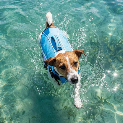 SwimGuard – Zwemvest Hond voor Veilig en Zorgeloos Zwemplezier