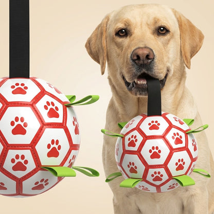 FetchChamp hondenbal met lussen, labrador draagt de bal