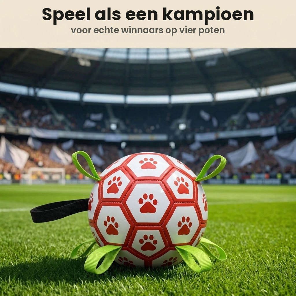 FetchChamp hondenbal op het voetbalveld