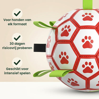 Apporteerbal voor honden van elk formaat, 30 dagen risicovrij proberen