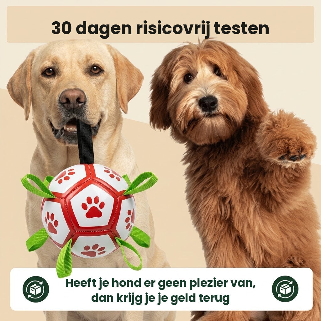 FetchChamp 30 dagen risicovrij testen