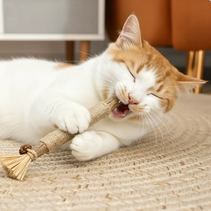 Kat met Matatabi Stick