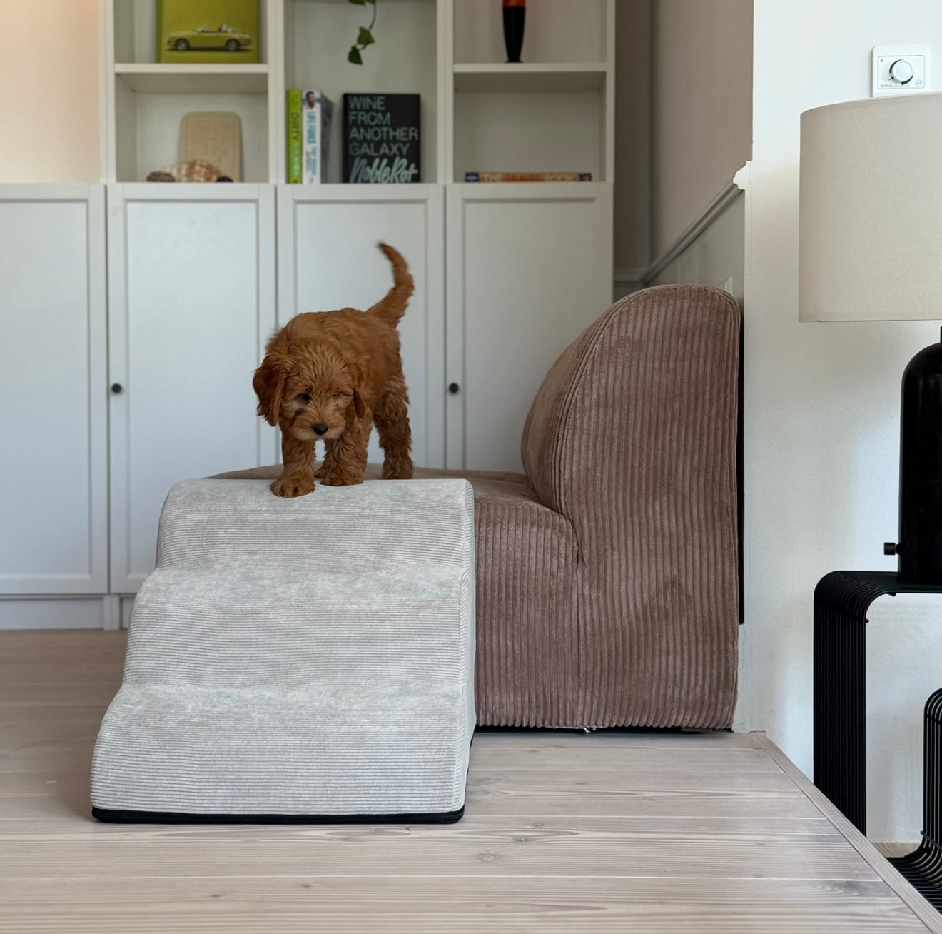PawSteps – Hondentrappetje met Afneembare Wasbare Hoes