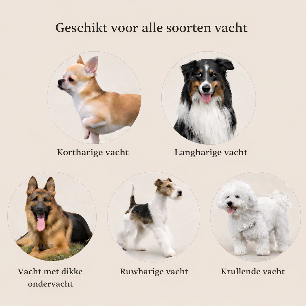 FurEase™ – Ontklit & Verzorgborstel voor honden en katten