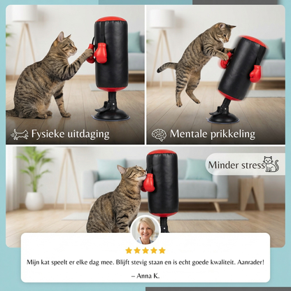 PawPunch stimuleert beweging