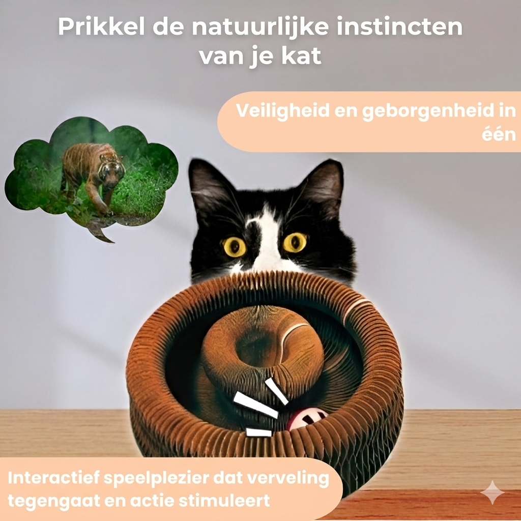 Kat speelt met KattenWervel