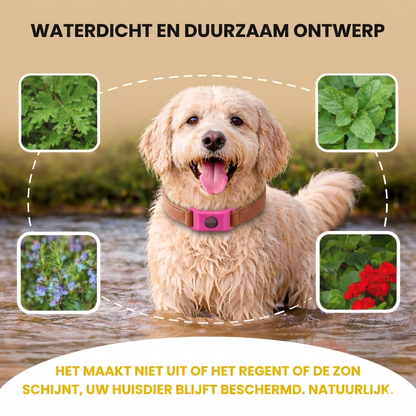 PetGuard – Natuurlijke Anti-Vlo & Tekenband voor Honden