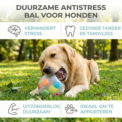 ToughBall kauwbal in gebruik door hond