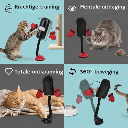 PawPunch kattenspeelgoed set