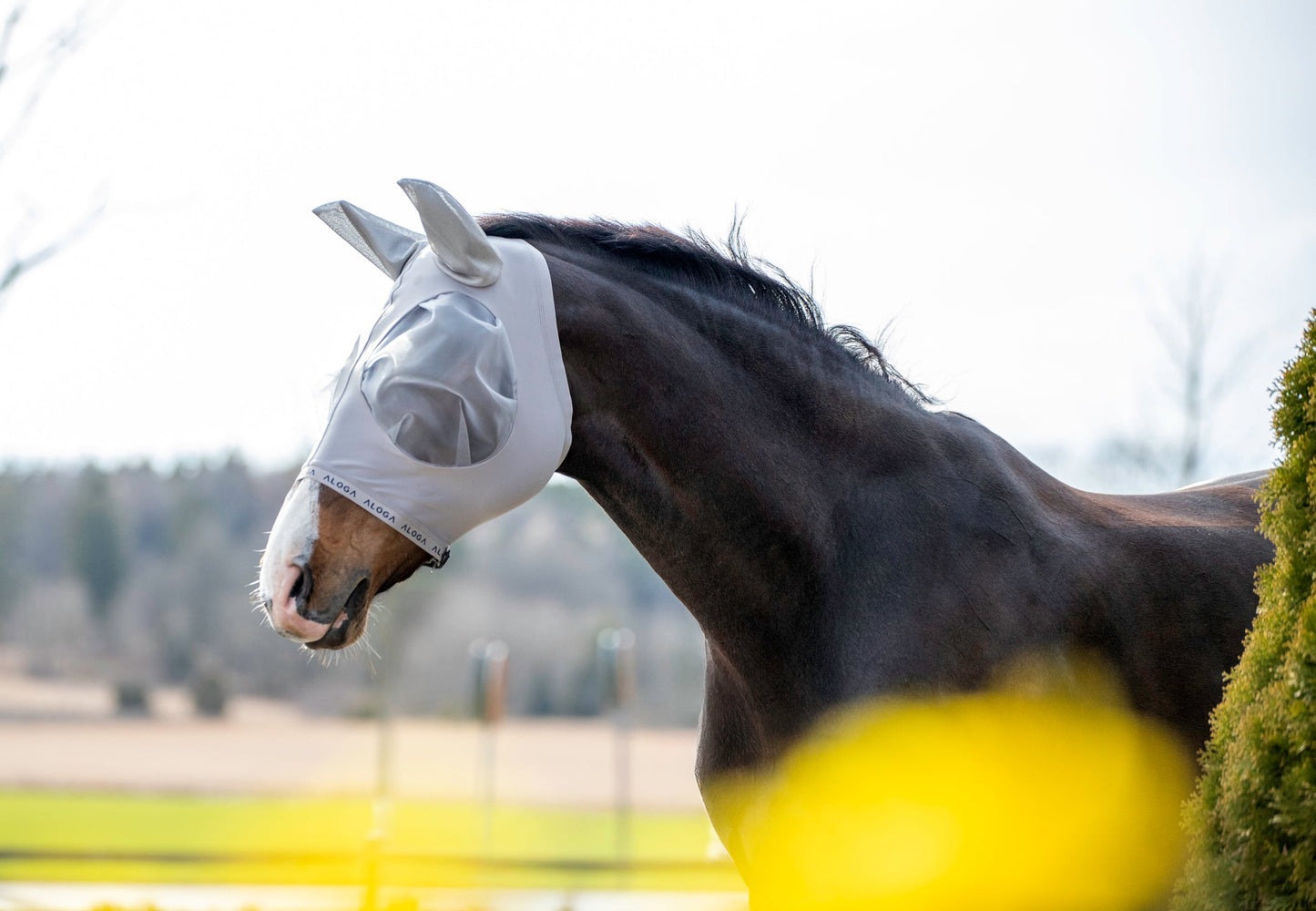 FlyShield – Vliegenmasker dat je Paard Eindelijk Rust Geeft