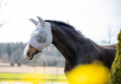 FlyShield – Vliegenmasker dat je Paard Eindelijk Rust Geeft