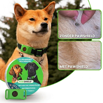PawShield – 12 maanden zonder vlooien en teken