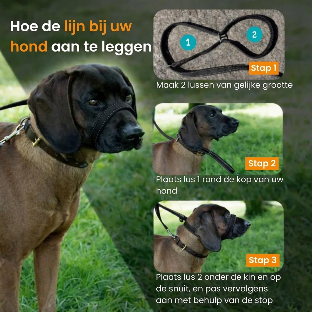 WalkEasy – Anti-Trek Hondenriem