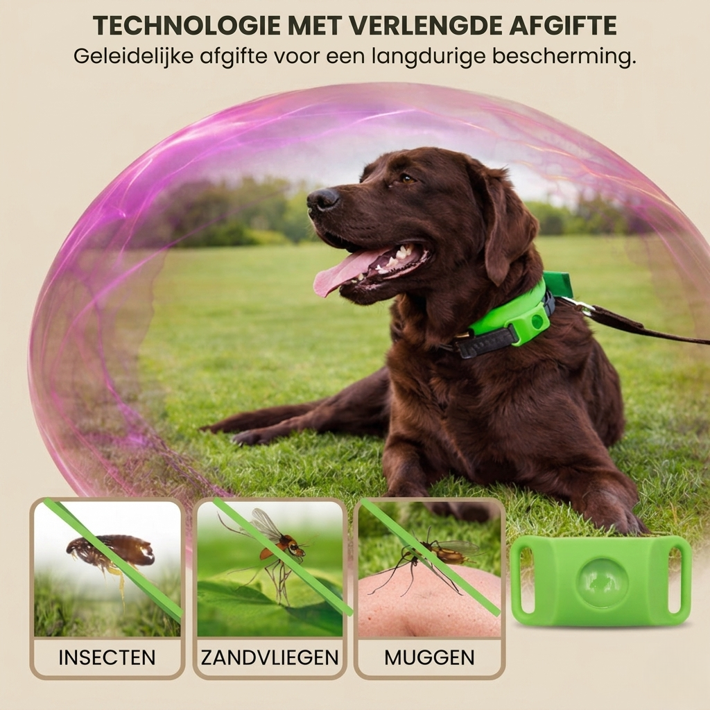 PetGuard – Natuurlijke Anti-Vlo & Tekenband voor Honden
