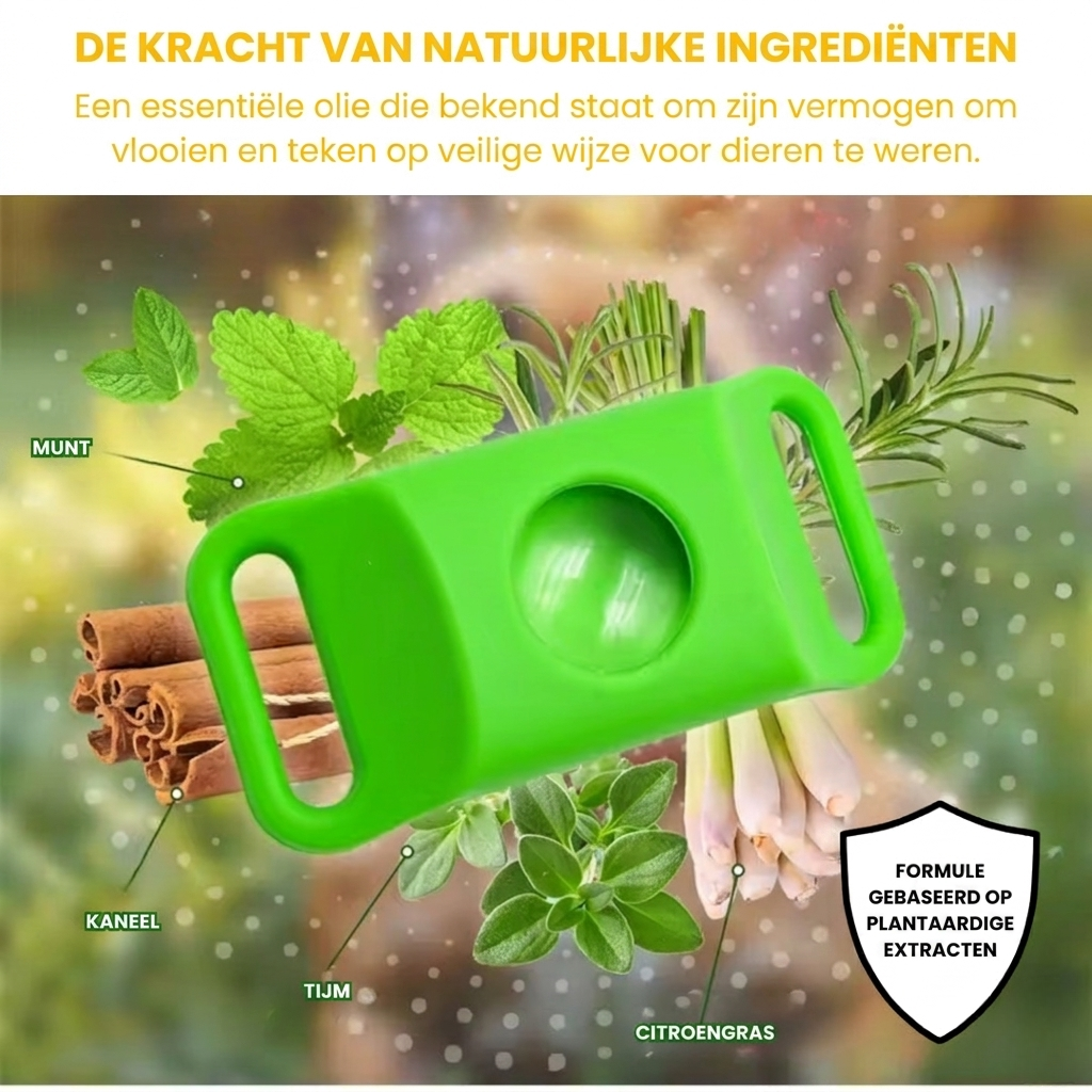 PetGuard – Natuurlijke Anti-Vlo & Tekenband voor Honden
