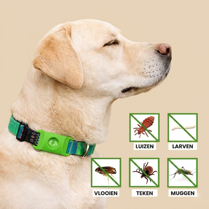 PetGuard – Natuurlijke Anti-Vlo & Tekenband voor Honden