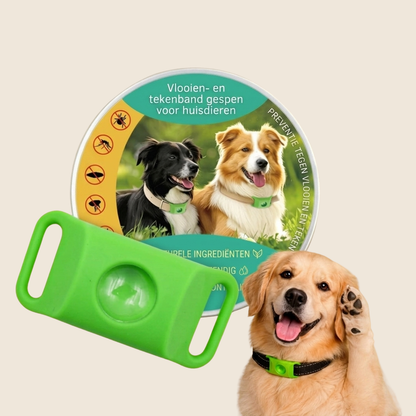 PetGuard – Natuurlijke Anti-Vlo & Tekenband voor Honden