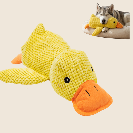 BuddyBite - De knuffel die angst en stress wegneemt