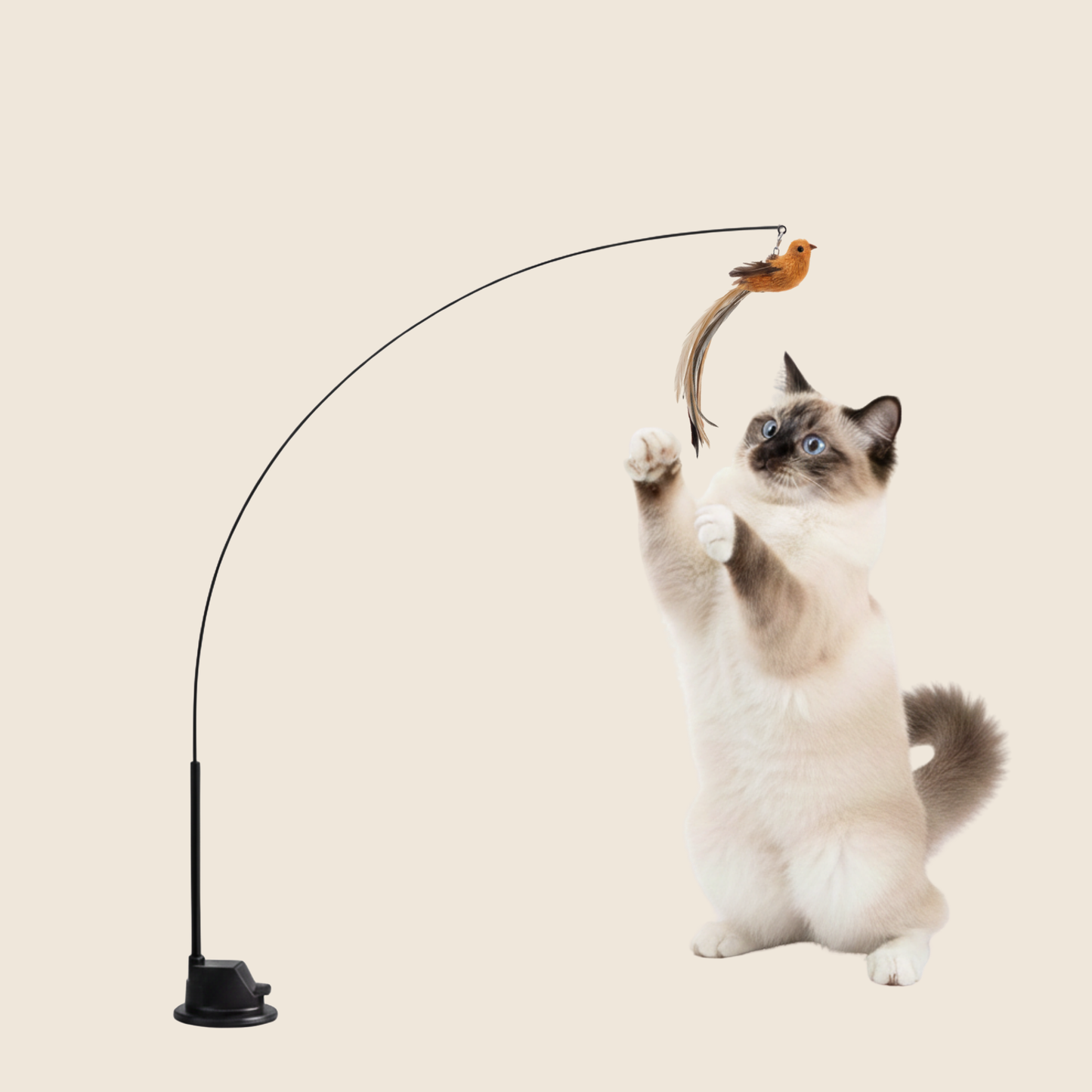 FeatherChase – Activeert direct het natuurlijke jachtinstinct van je kat