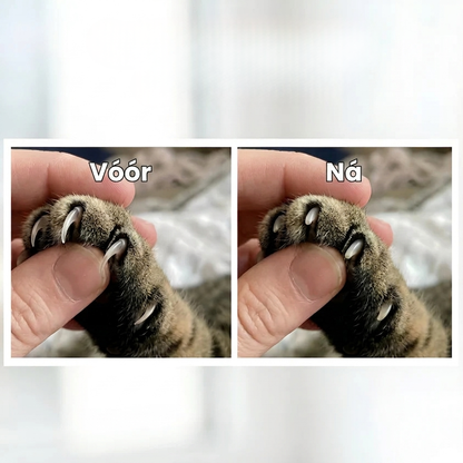 ClawPlay - Krabspeelgoed dat Kattennagels Vanzelf Bijvijlt