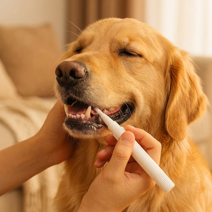 DentaPen – Tandenreinigingspen voor Honden & Katten
