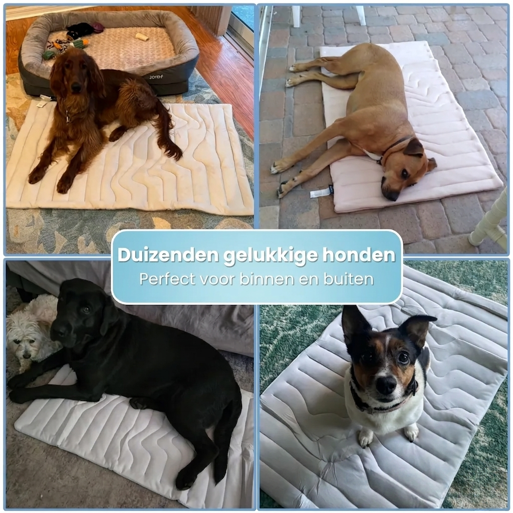 CoolMat – Verkoelende Mat die Oververhitting bij je Hond Voorkomt