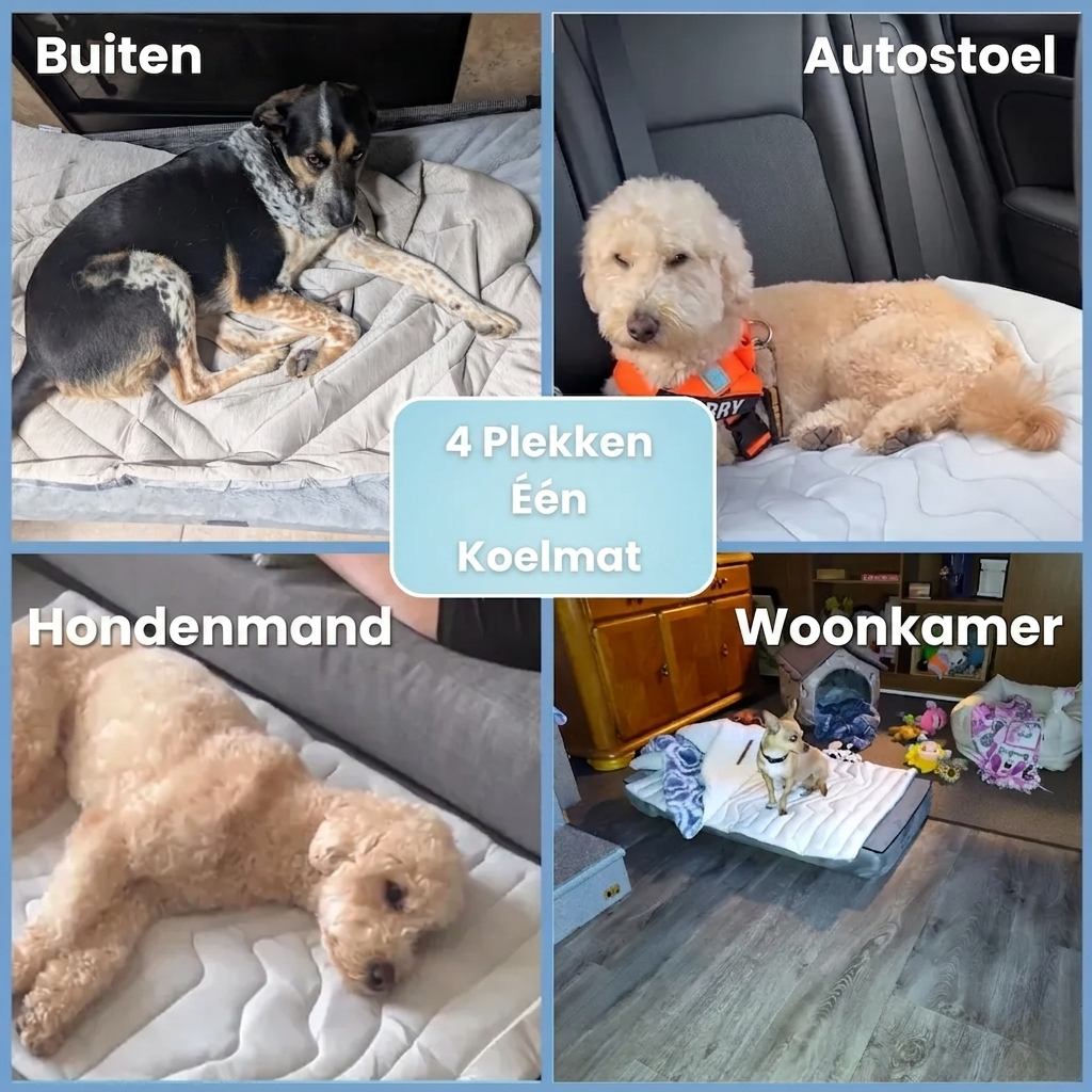 CoolMat – Verkoelende Mat die Oververhitting bij je Hond Voorkomt
