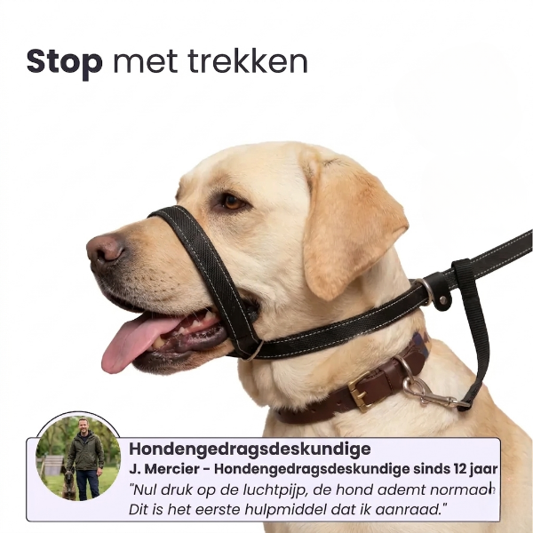 WalkEasy – Anti-Trek Hondenriem