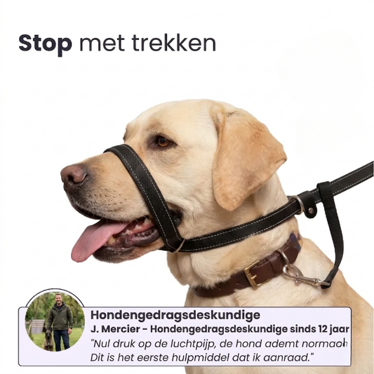 WalkEasy – Anti-Trek Hondenriem