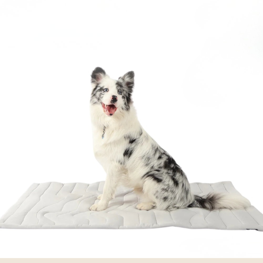 CoolMat – Verkoelende Mat die Oververhitting bij je Hond Voorkomt