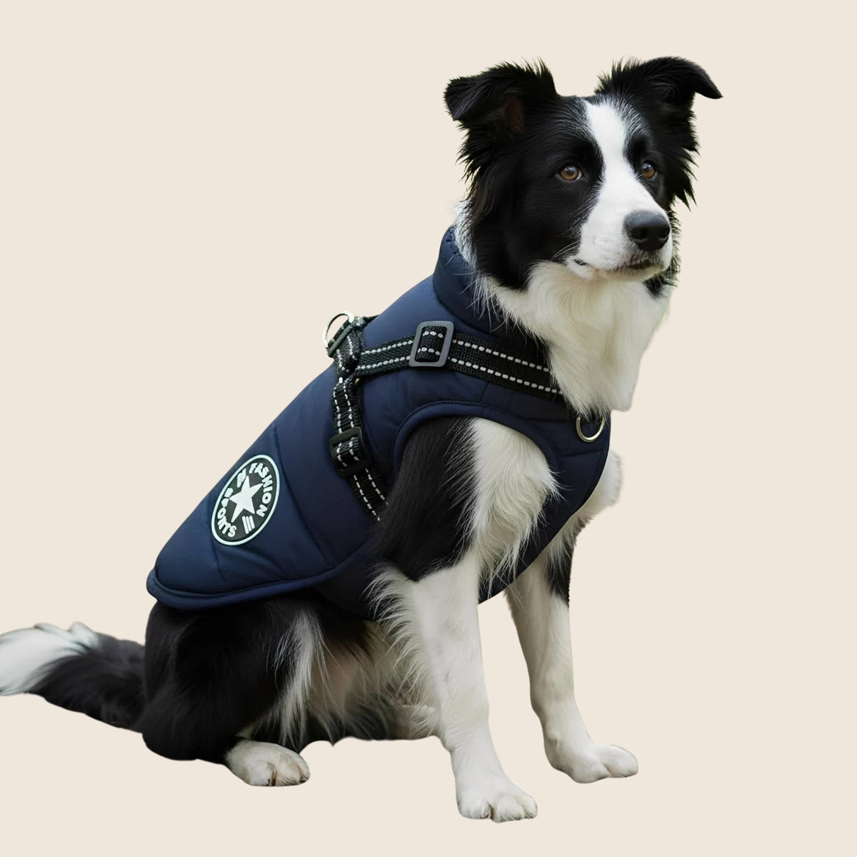 PawParka op beige achtergrond