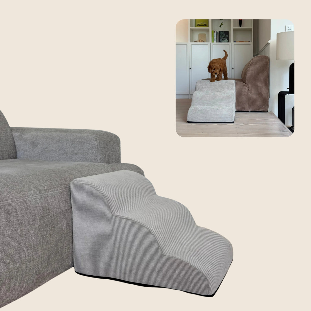 PawSteps op beige achtergrond