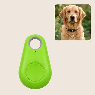PawTrace op beige achtergrond