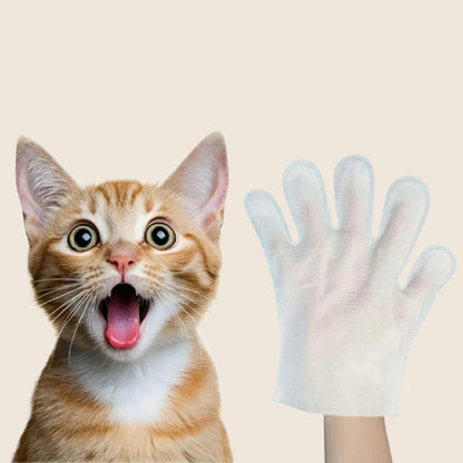 PetGlove op beige achtergrond