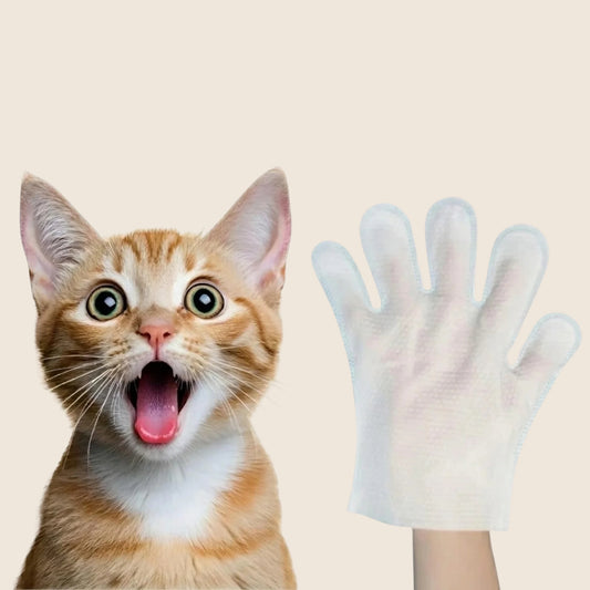PetGlove op beige achtergrond
